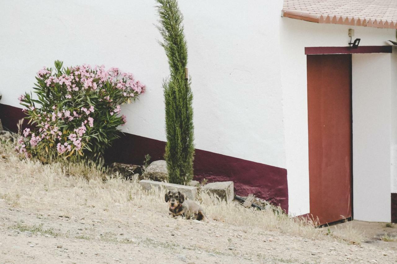 Casas Da Faia - Nature *