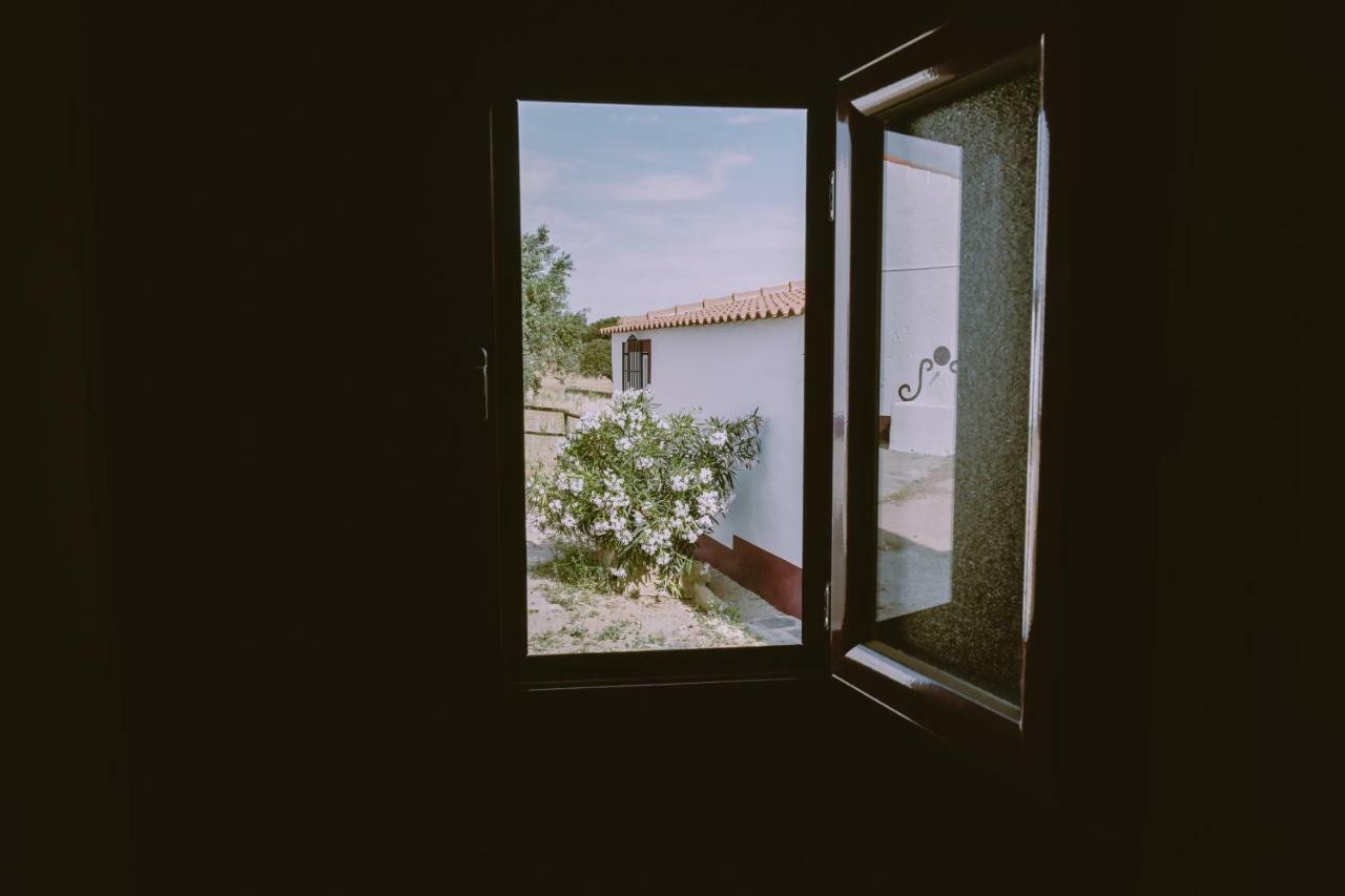 Casas Da Faia - Nature *